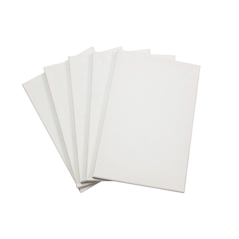 5 pack of 20x30cm Artist Blank Stretched Canvas Canvases Art Large