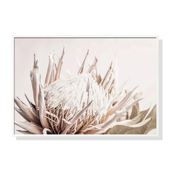 Wall Art 90cmx135cm Pure Protea II White Frame Canvas