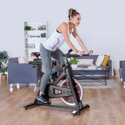 Lifespan Fitness SP-310 M2  Lifespan Fitness Spin Bike