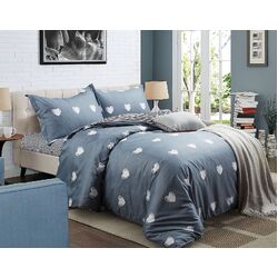 Cooper Queen Size Quilt/Duvet Cover Set