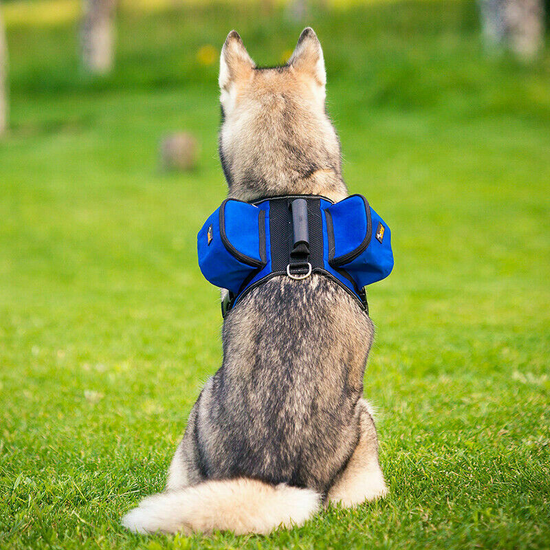 Ondoing best sale dog backpack