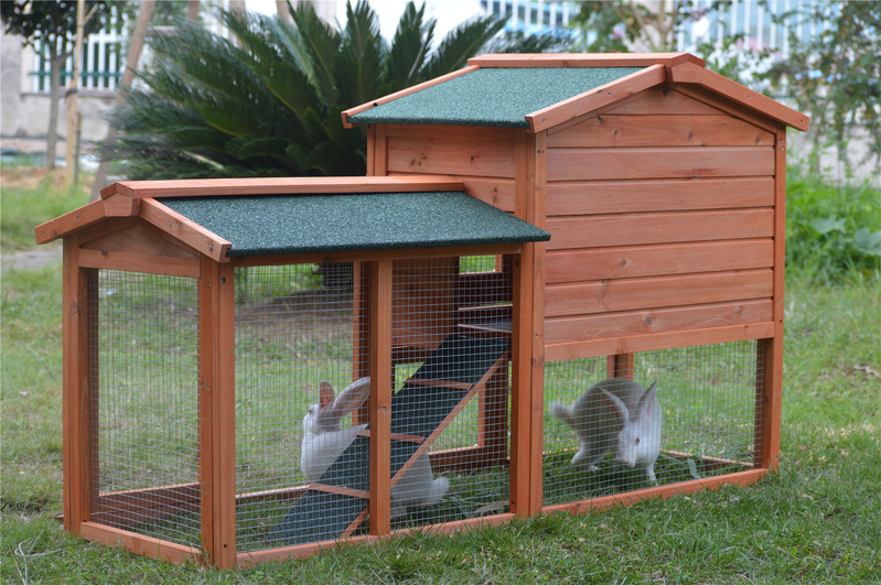 Honeysuckle rabbit outlet hutch