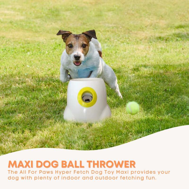 Hyper fetch ball outlet launcher