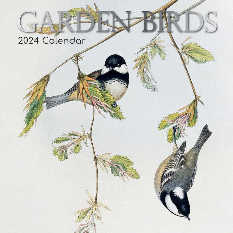 Illustrated Garden Birds 2024 Square Wall Calendar Pets Animals 16 Months   BO20 DS 96854 