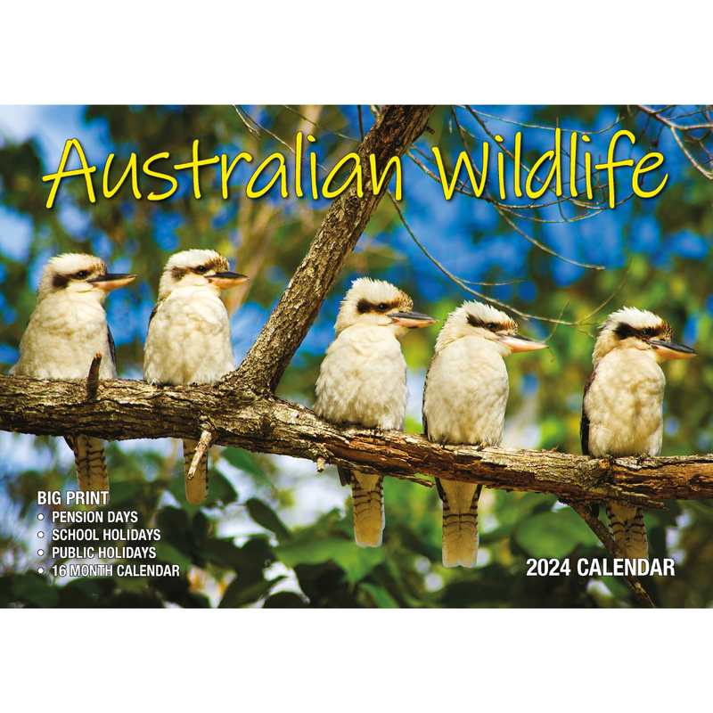 Australian Wildlife 2024 Rectangle Wall Calendar 16 Months Animal   BO20 DS 98075 