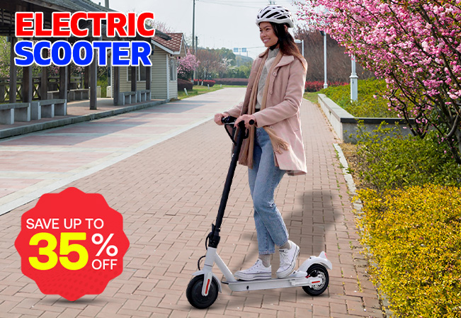 Electric Scooter