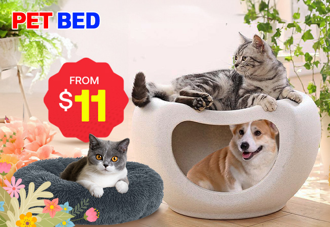 Pet Bed