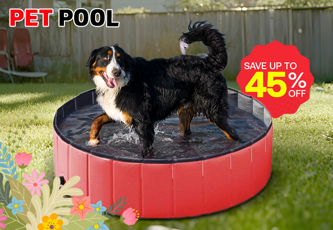 Pet Pool