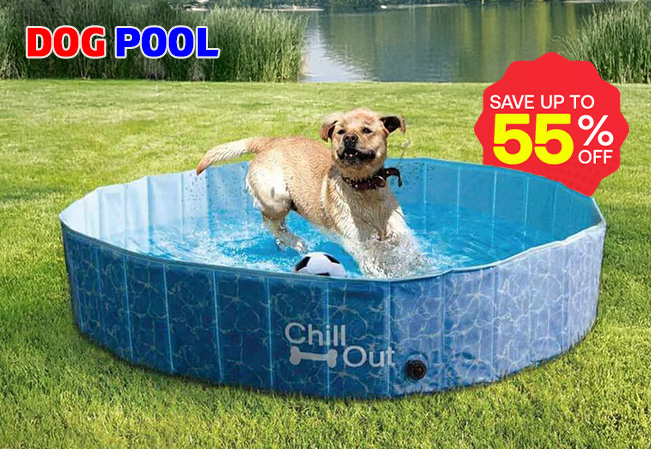 Dog Pool