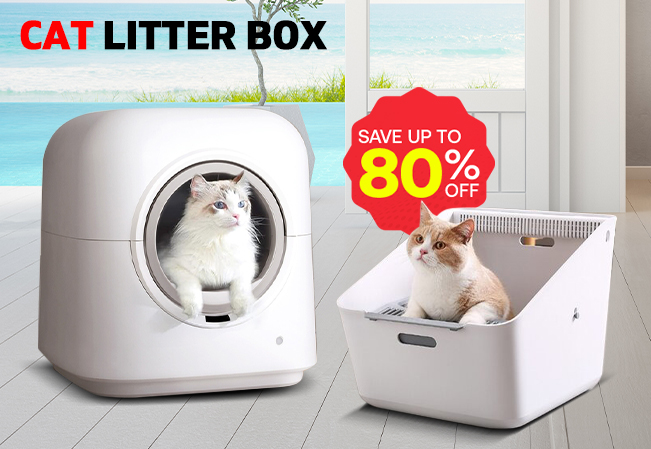 Litter Box