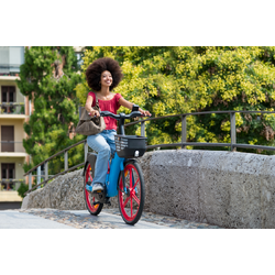 How Much is an Electric Bike? — 5 Key Factors Explained image